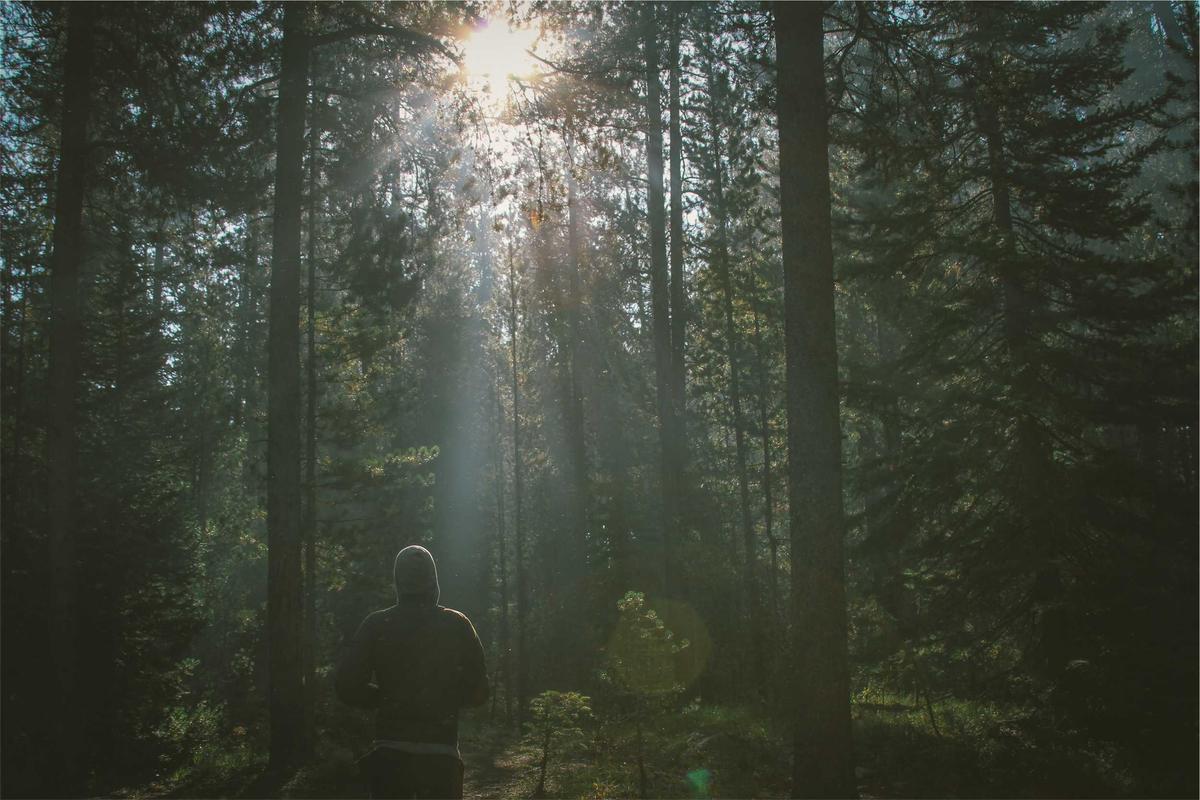 Freelancing vs reselling vs services: what suits different people - Uksidehustleguide